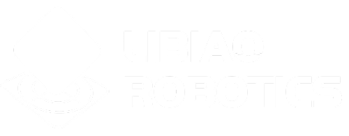 logo-libiao